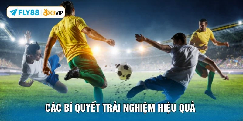 Các bí quyết trải nghiệm hiệu quả 